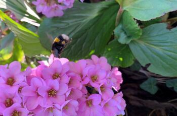 Alle Jahre wieder...