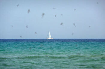 Lichtblitze und Glaskörpertrübungen